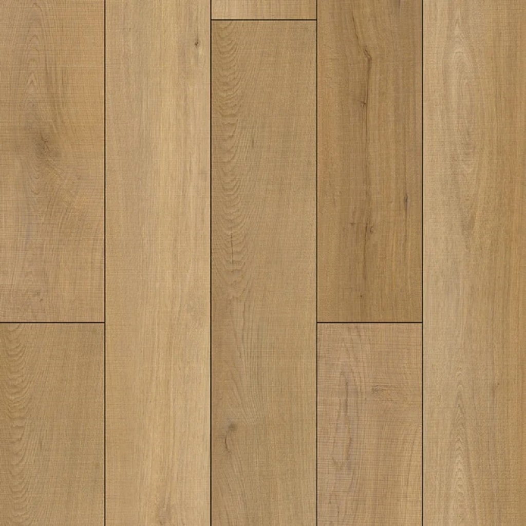 MAX CORE TRAFFIC Home-Asino