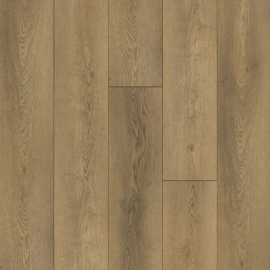 MAX CORE TRAFFIC Home Kalami