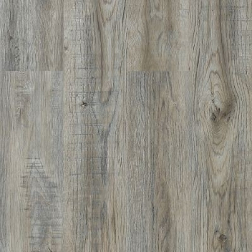 EUROTEC PALACE Olmo Dover