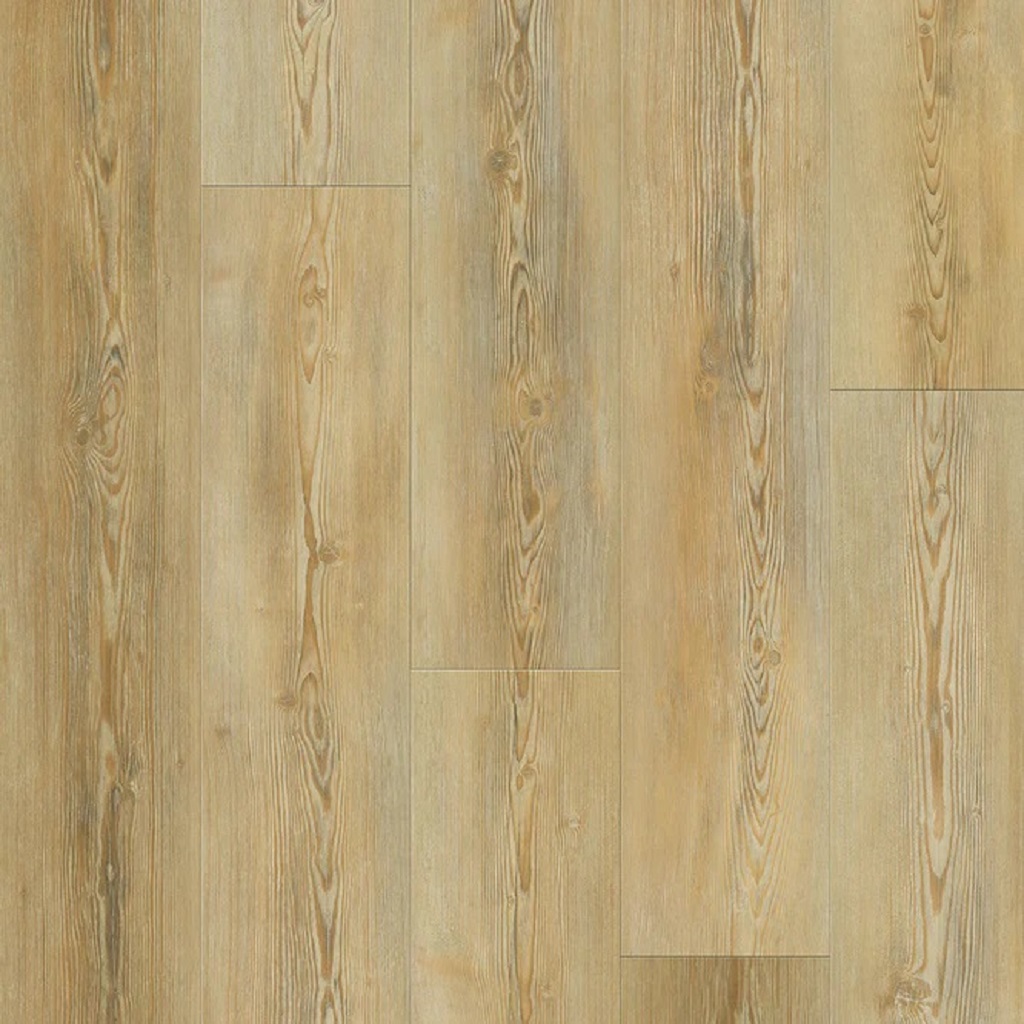 MAX CORE Traffic Pinotea